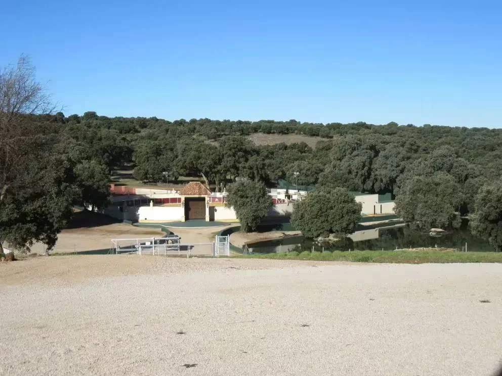 Encierros a toda hora: una plaza de toros y más...