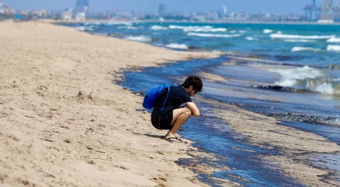 El fenómeno natural que oscurece las playas de Valencia: un verdadero mar negro