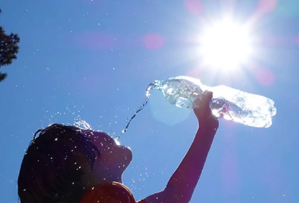 Las consecuencias de la ola de calor en Europa 