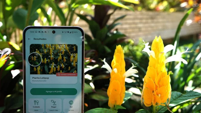 Este asombroso gadget que se conecta a tu móvil te avisa cuando regar tus plantas para que no se mueran