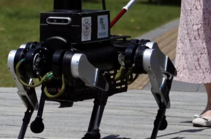 Conoce al perro guía de seis patas que está marcando un antes y un después en 2024