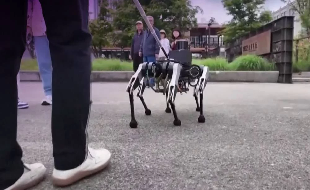 Conoce al perro guía de seis patas que está marcando un antes y un después en 2024 1 Moncloa Como los perros guía: la Inteligencia Artificial al servicio de las personas con problemas visuales