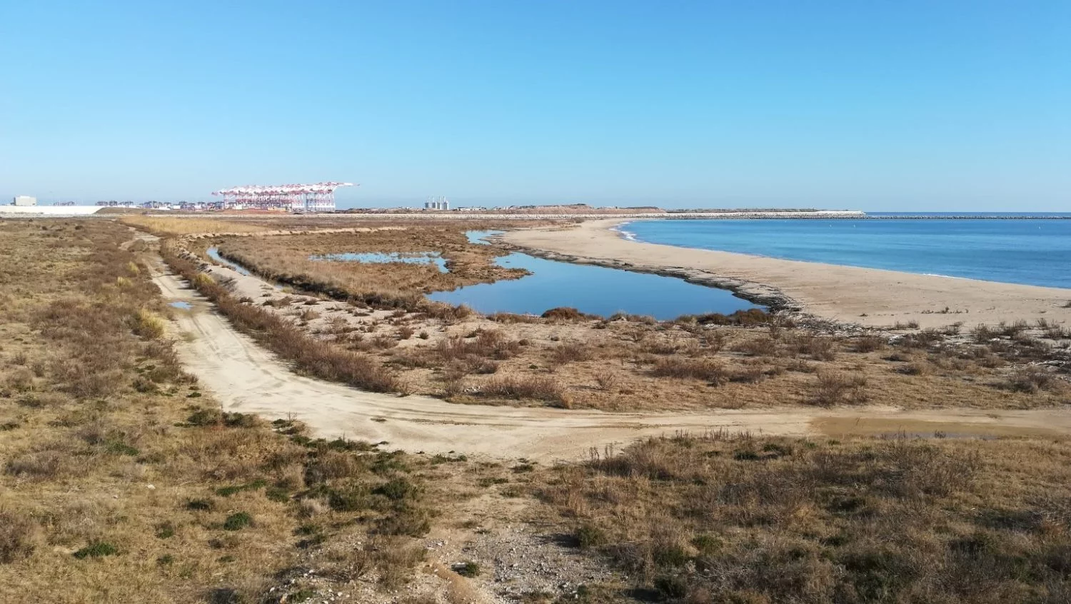 ZEPA del Llobregat