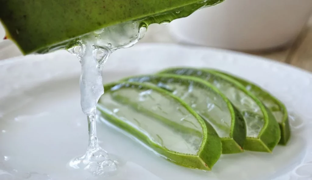 Estos son los peligros que nadie menciona del aloe vera