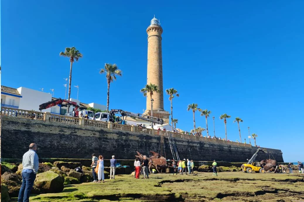 Bañistas de España se encuentran con criaturas gigantes y las imágenes no tardan en viralizarse