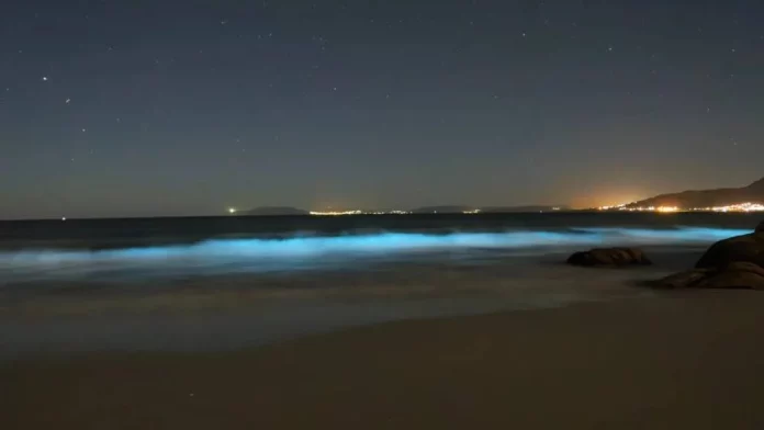 La maravilla del mar de lágrimas azules: Cómo visitarlo este verano