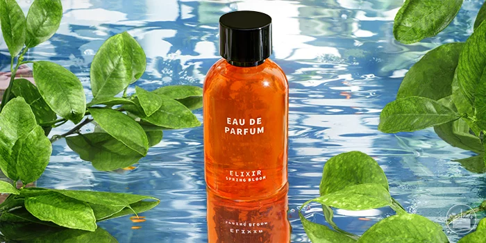 El económico perfume veraniego de Mercadona que solo cuesta 4 euros 1 Moncloa elixir spring bloom txt1 1 Moncloa