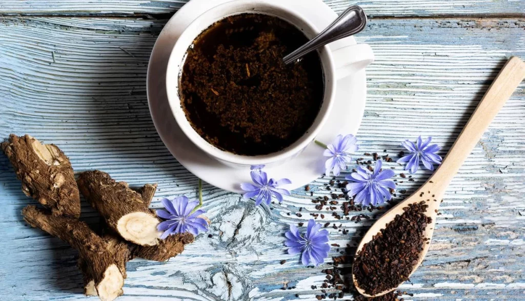 Olvídate del café y prueba esta infusión recomendada por médicos 1 Moncloa Por qué la infusión de achicoria puede ser el sustituto ideal del café