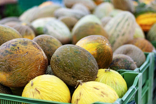 El truco fácil para elegir un melón dulce y jugoso sin palmaditas ni oler la base 2 Moncloa Comprar en un establecimiento de confianza