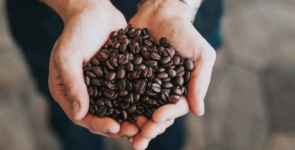 Este es el café más infravalorado que deberías tomar todos los días según Harvard 2 Moncloa Más propiedades del café que rompe con los mitos