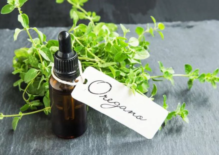 Prepara este aceite de orégano casero conocido como el elixir de la felicidad