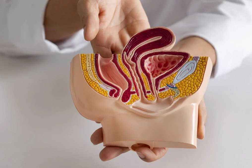 ¡Ojo a esta señal! El primer síntoma de cáncer de próstata que muchas veces se pasa por alto 2 Moncloa ¿Cómo se detecta el cáncer de próstata?