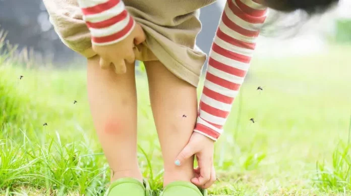Repelente ideal para niños: consejos para evitar las picaduras de mosquitos