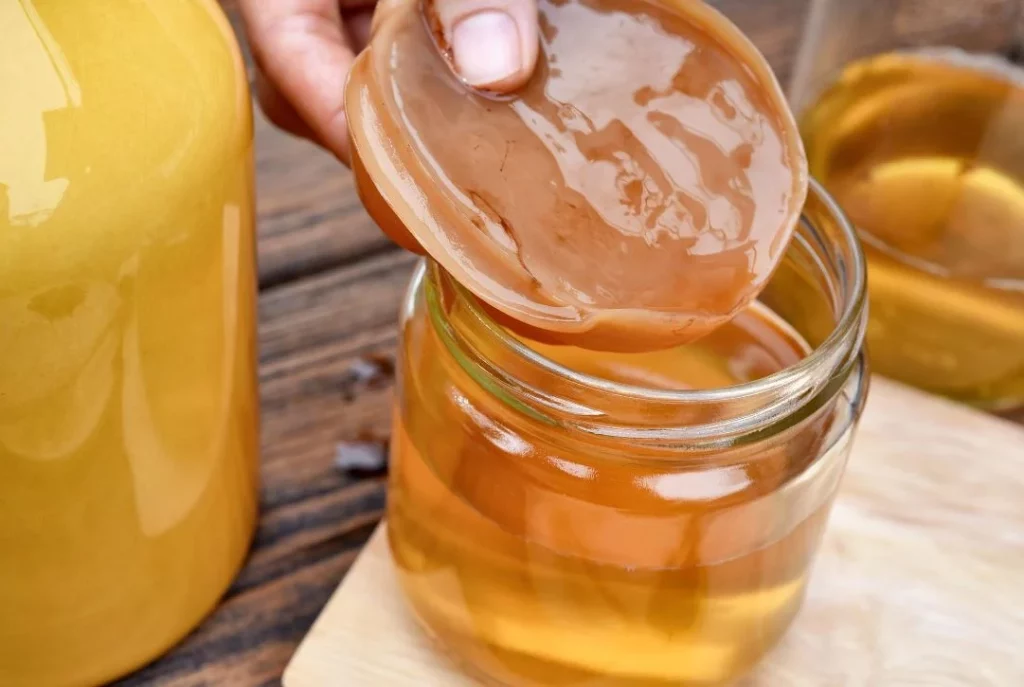 Olvídate del ayuno, esta bebida probiótica acelera tu metabolismo y quema grasa igual 1 Moncloa No más ayuno, prueba el té de kombucha