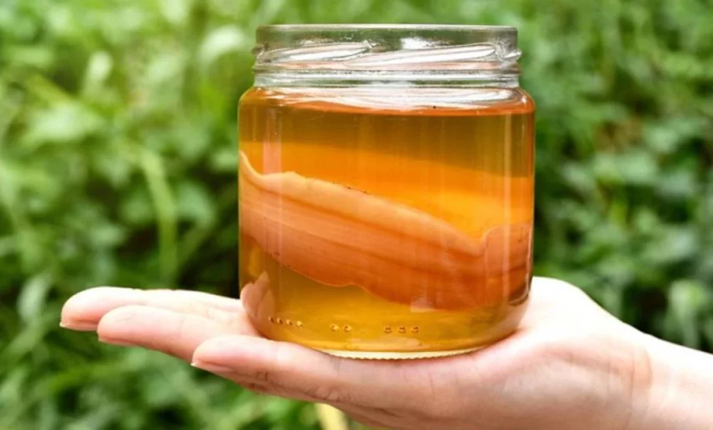 Olvídate del ayuno, esta bebida probiótica acelera tu metabolismo y quema grasa igual 2 Moncloa ¿Por qué el té de kombucha tiene más beneficios que el ayuno?