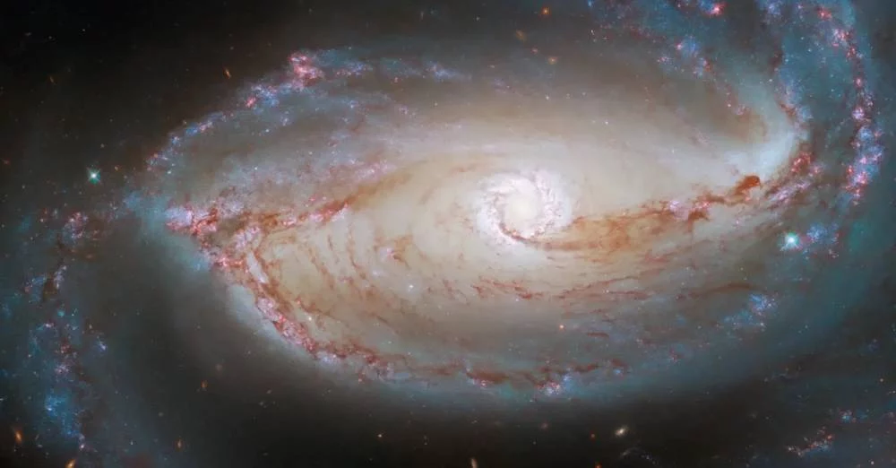 Cómo saber qué ocurría en el espacio el día de tu nacimiento, según la NASA