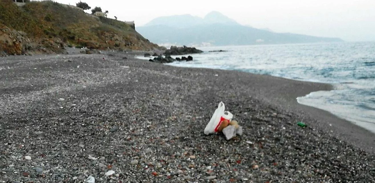 La popular playa española que se ha convertido en un foco delicado de garrapatas