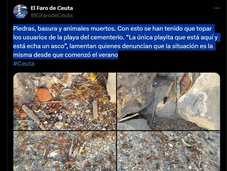 Playa del Cementerio en Ceuta: el peor sitio para las mascotas (y sus dueños)