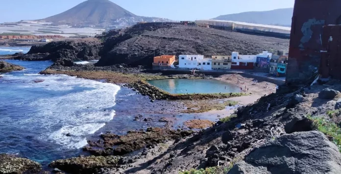 Temor en Gran Canaria por la aparición de dragones azules que obligaron a cerrar las playas
