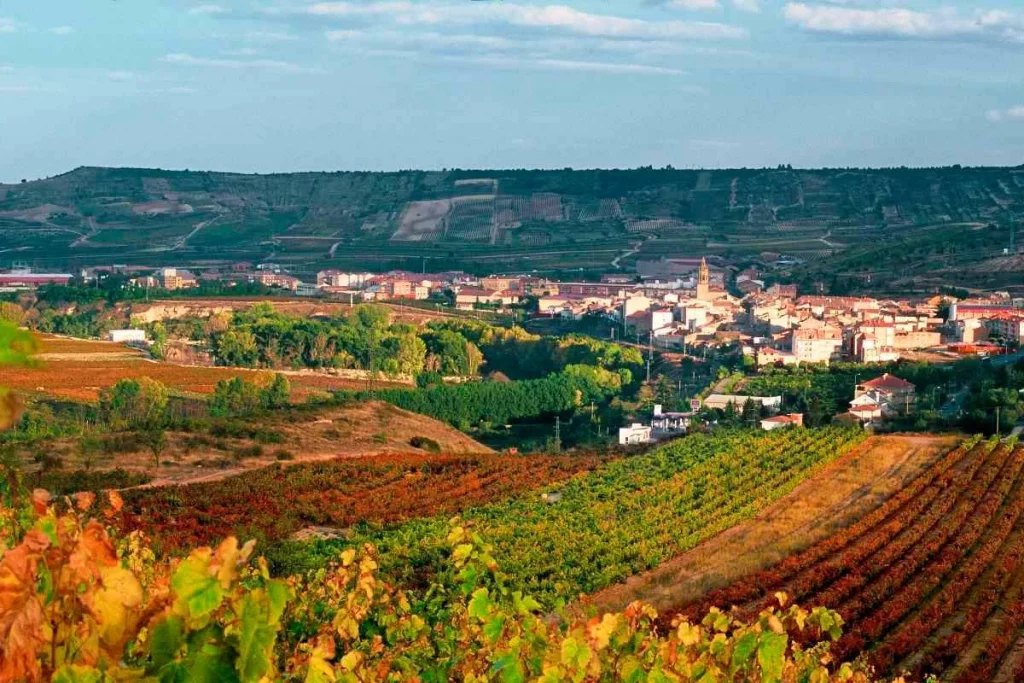 La ruta predilecta de la IA para realizar este otoño