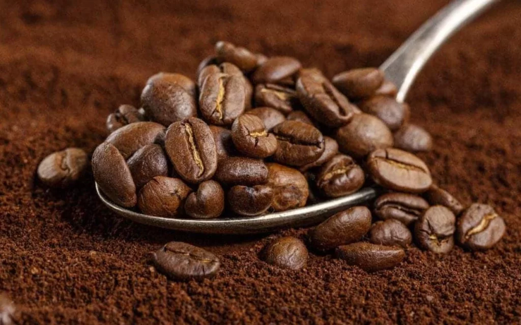 El "milagro líquido" que prolonga tus años y afila tu mente 5 Moncloa ¿Cómo actúa el café en el organismo?