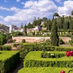 El secreto de los jardineros de la Alhambra para que los geranios exploten en flores, y es un medicamento que tomas seguido