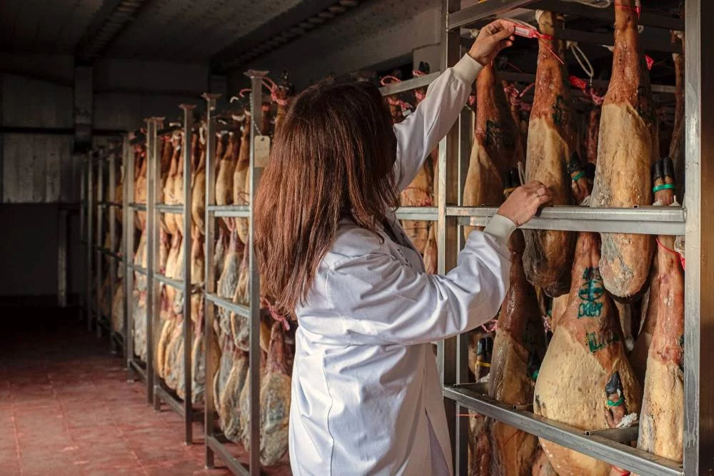 Vibrante experiencia gastronómica en Salamanca: Jamón ibérico y vino paradisíacos que debes probar 1 Moncloa Una aventura gastronómica de locura: el pueblo de Salamanca que se destaca por su jamón