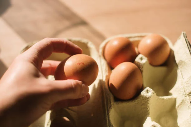 El gadget de Amazon más vendido para hacer huevos duros o escalfados sin esfuerzo 2 Moncloa Tecnología y diseño compacto