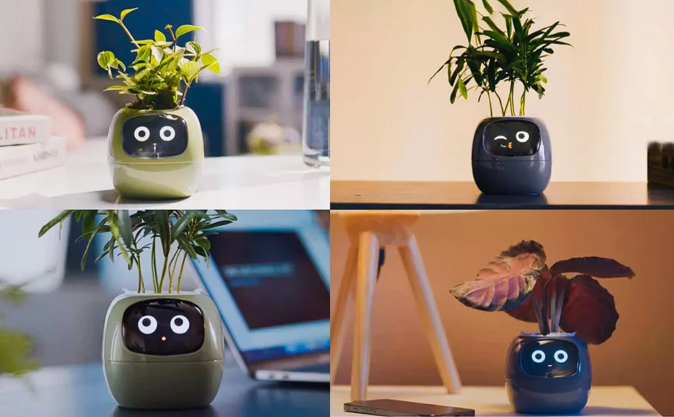 La maceta inteligente que le da vida a tu planta: riego automático, emociones y conexión con Alexa 2 Moncloa Su increíble capacidad de aprender y generar emociones