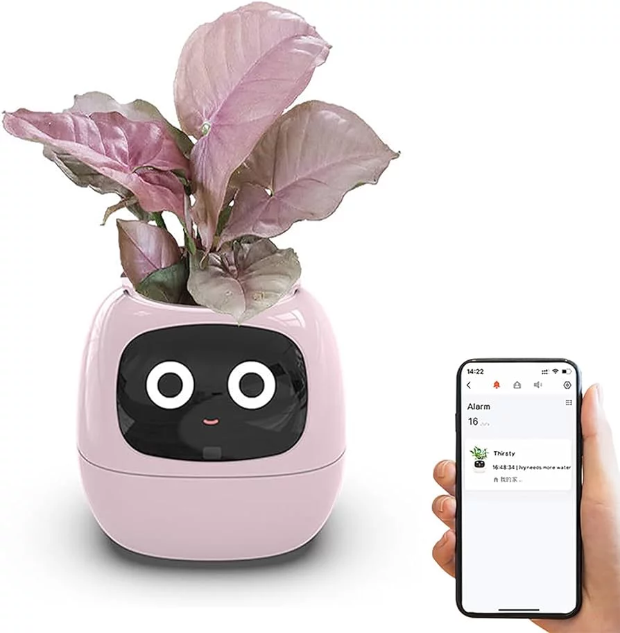 La maceta inteligente que le da vida a tu planta: riego automático, emociones y conexión con Alexa 1 Moncloa Cómo funciona la maceta inteligente