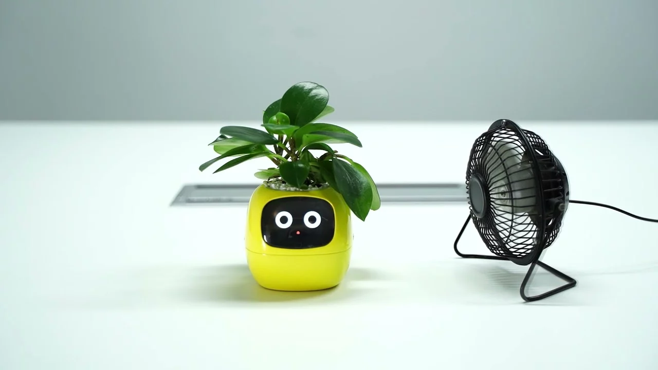 La maceta inteligente que le da vida a tu planta: riego automático, emociones y conexión con Alexa