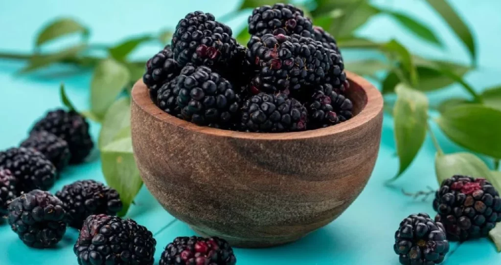 Mejora tu deseo sexual, protege el corazón y combate el envejecimiento con esta fruta 2 Moncloa ¿Cómo incorporar las moras para mejorar el deseo sexual, cuidar la salud cardiovascular y evitar el envejecimiento?