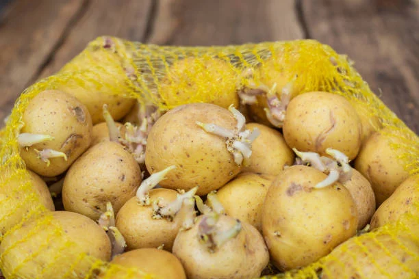 El método fácil para que tus patatas se conserven sin brotes