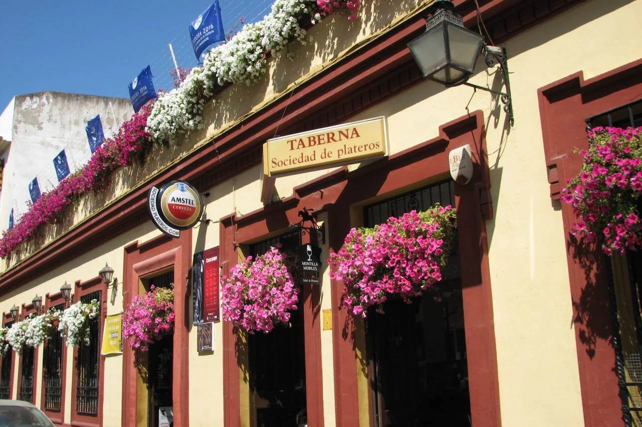 De 1868 y todavía en la cima: el bar más antiguo de Córdoba tiene la mejor carta de vinos de toda España