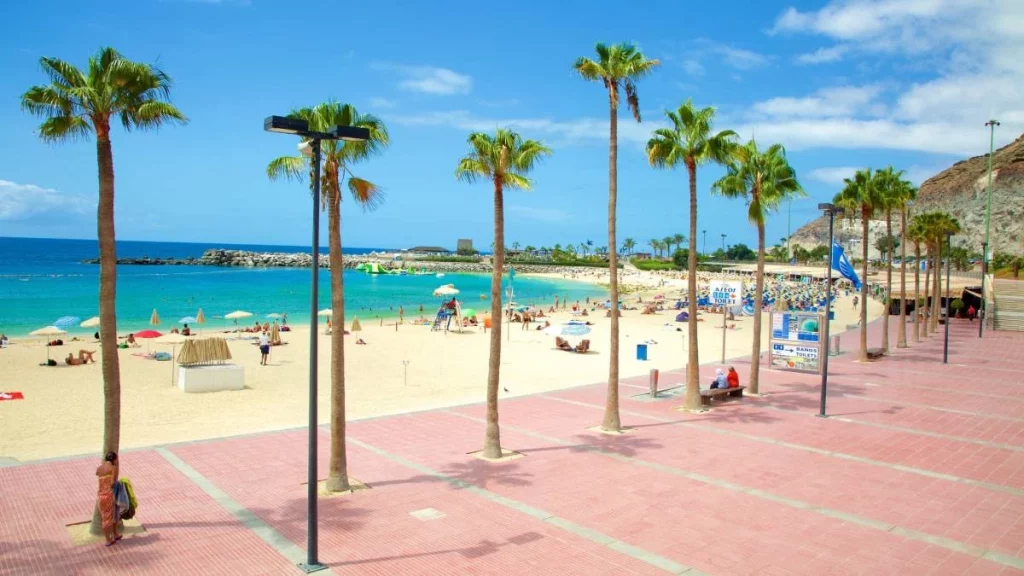 Según la OCU, este es el pueblo español ideal para jubilarse 1 Moncloa Palmas de Gran Canaria, el predilecto de la OCU
