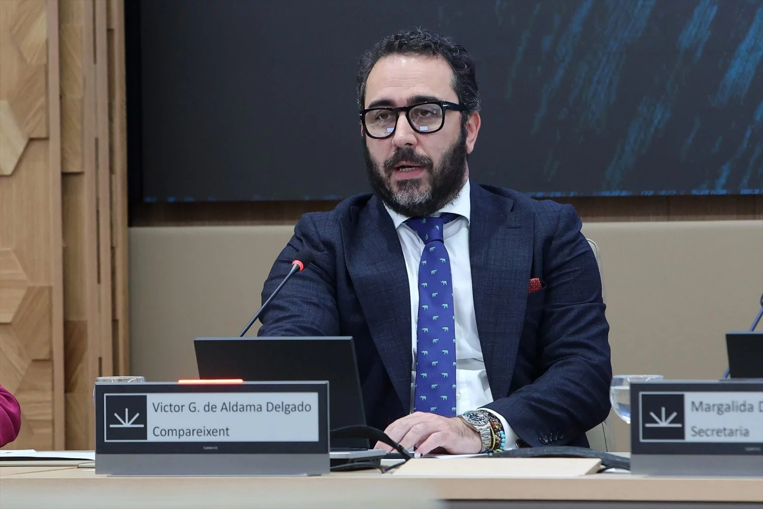 Víctor de Aldama en la comisión del Senado.