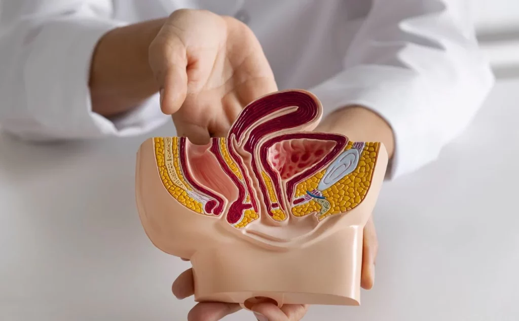 El síntoma del cáncer de próstata que suele ignorarse, pero es clave para un diagnóstico temprano 1 Moncloa Así se presenta este síntoma del cáncer de próstata