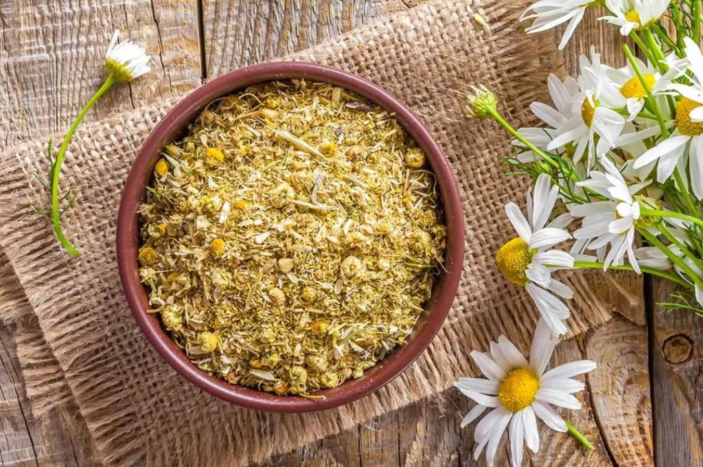 Así funciona la manzanilla para aliviar la gastritis