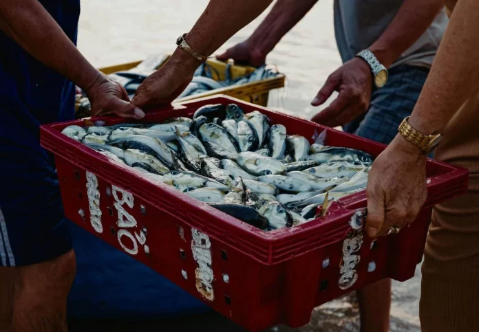 Este pescado, retirado del mercado español: piden no consumirlo