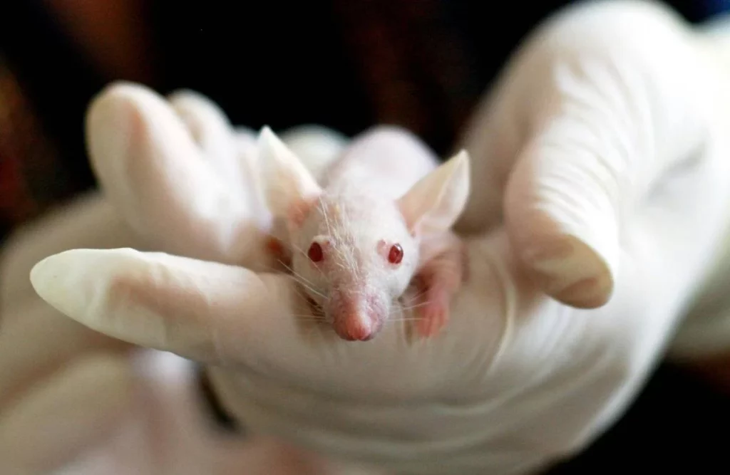 Este nuevo invento permitirá la invisibilidad humana 1 Moncloa En qué fase se encuentra el invento más revolucionario de la biomedicina
