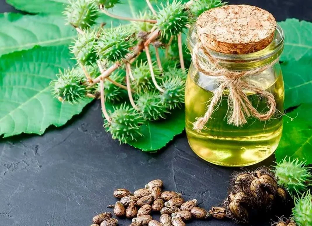 La razón por la que el aceite de ricino es el cosmético natural del momento