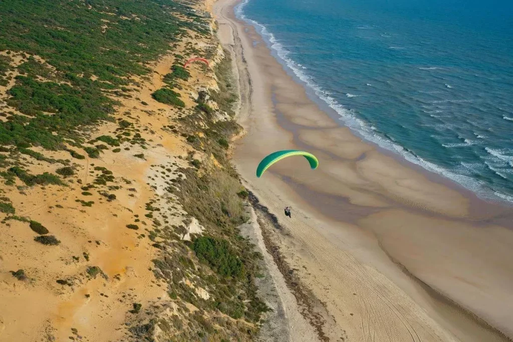 28 kilómetros de paraíso: la playa más larga de España y una de las más grandes del mundo 1 Moncloa Cómo llegar al paraíso de Doñana