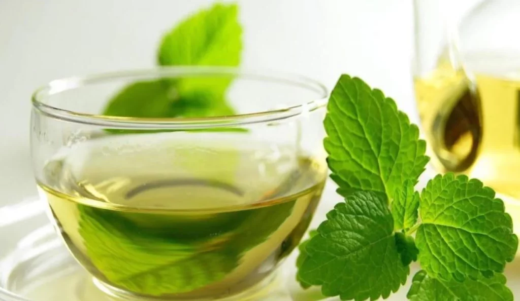 Esta infusión natural es la clave para dejar el café y mejorar tu salud 2 Moncloa ¿Cómo sustituir al café por hierbabuena?