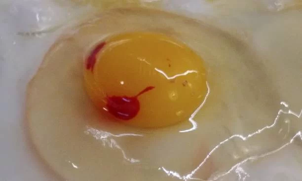 Si detectas motas en el huevo esto es lo que los expertos te recomiendan hacer, y urgente