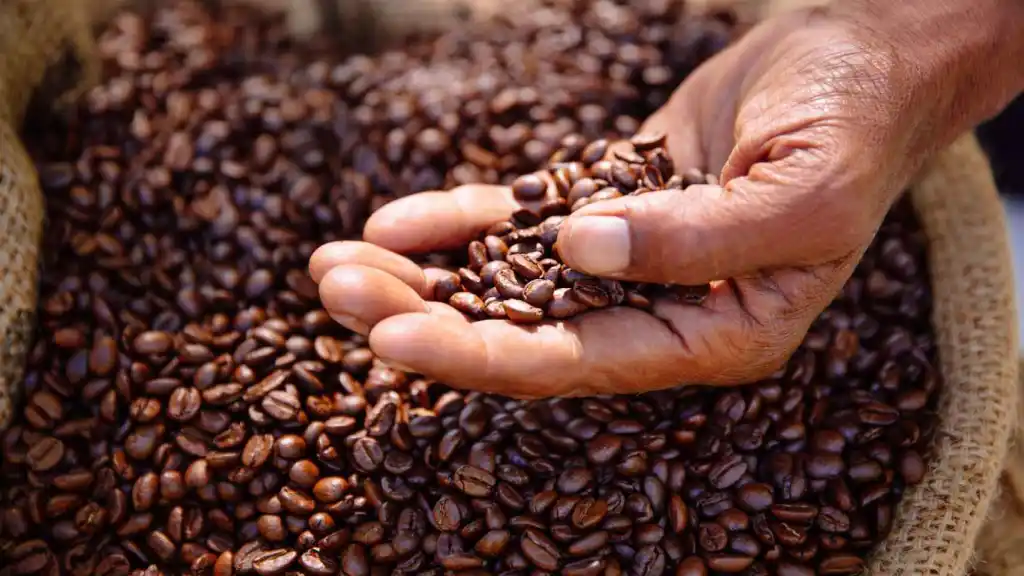 No deberías comprar este café que está en todos los supermercados: está vetado en varios países 2 Moncloa Alternativa al café torrefacto