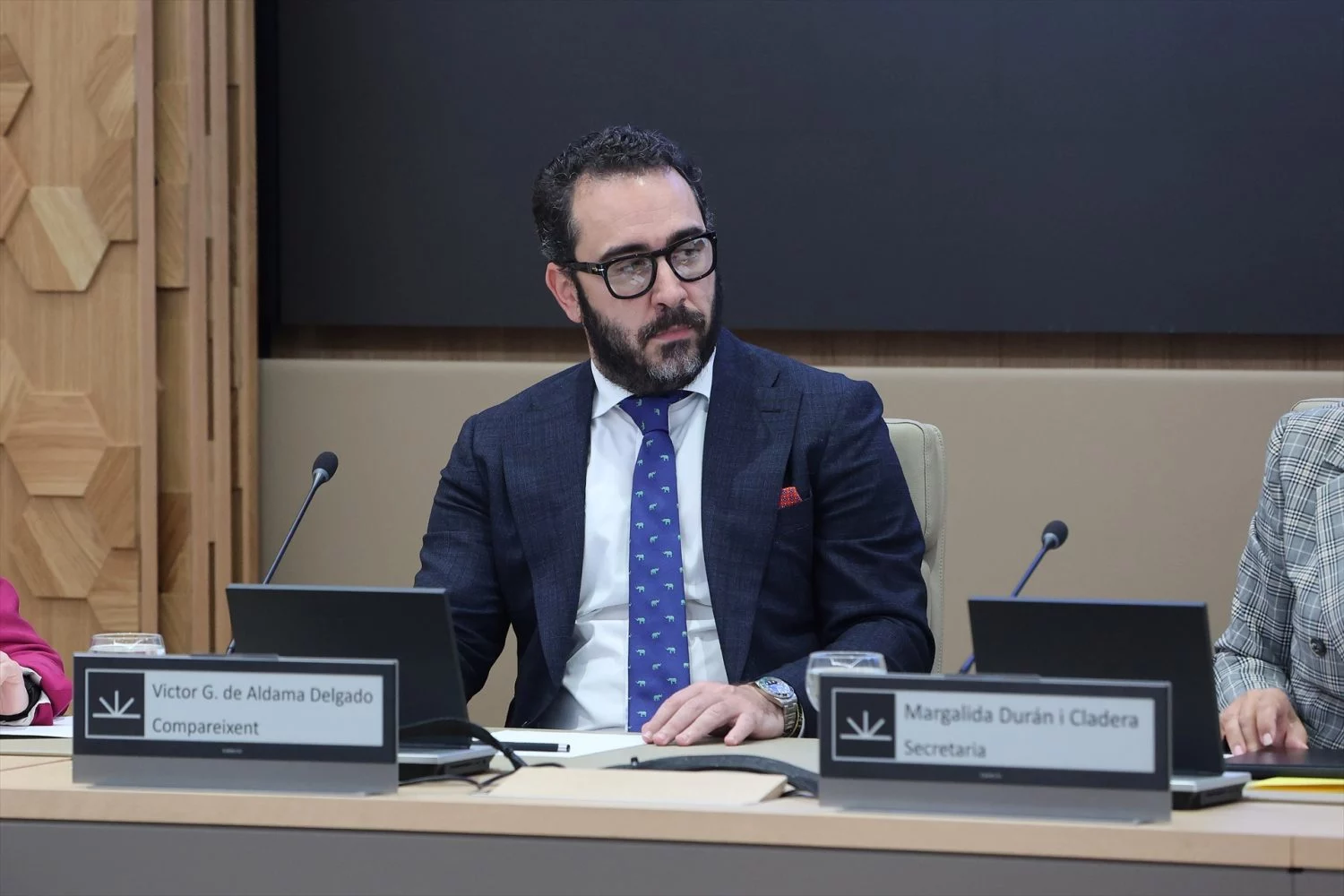 Víctor de Aldama en el Senado. EUROPA PRESS