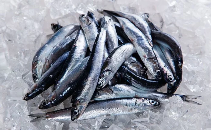 Olvídate del salmón este es el pescado que realmente previene infartos
