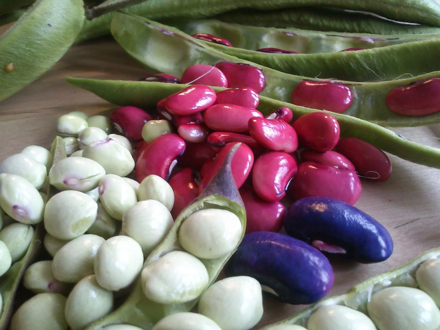 La legumbre saludable que pasa desapercibida en España y es clave para el corazón