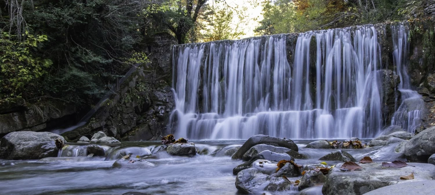 Aragón esconde este bosque único y mágico que debes visitar este invierno