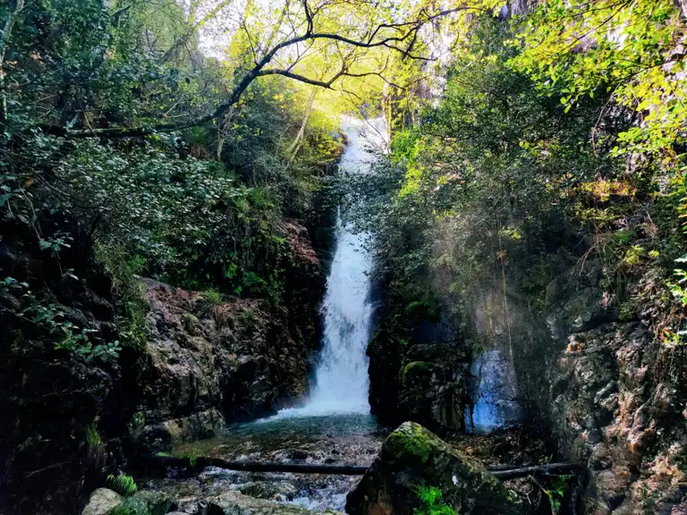 3 lugares que un Grinch amaría para desaparecer en esta Navidad 3 Moncloa UN RETIRO EN LA NATURALEZA: PARQUE NACIONAL DE CABAÑERES